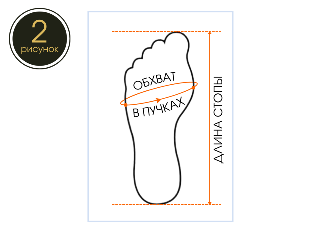 Замер длины стопы